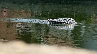 Isar Invader von Renato Rill