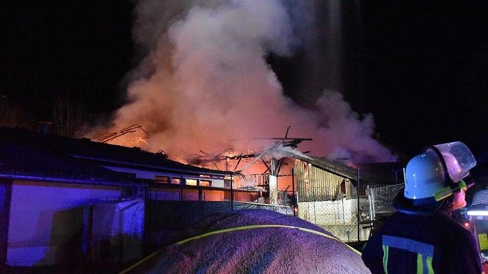 Bei einem Brand auf einem Bauernhof im Landkreis Deggendorf kamen mehrere Rinder ums Leben.