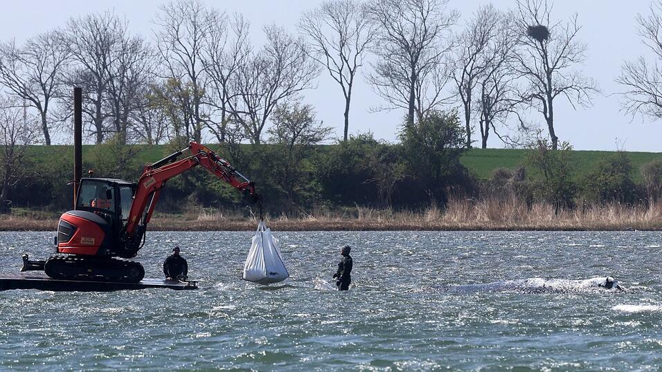 Das neue Konzept der Privatinitiative wird geduldet.