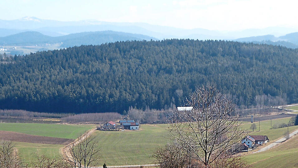 Der Arnstein von Birnbrunn aus gesehen