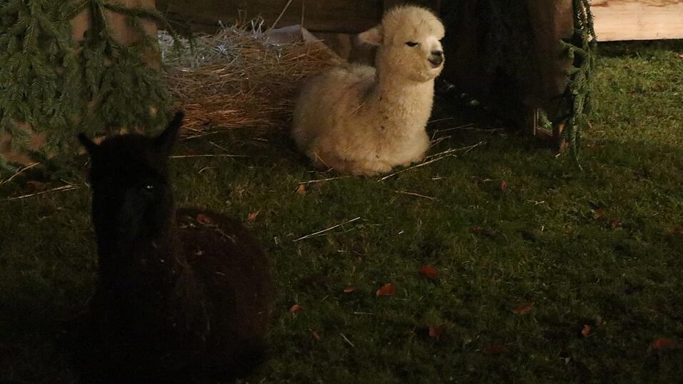 Der Weihnachtsmarkt auf Schloss Sankt Emmeram in Regensburg wurde am Freitag feierlich er&ouml;ffnet.
