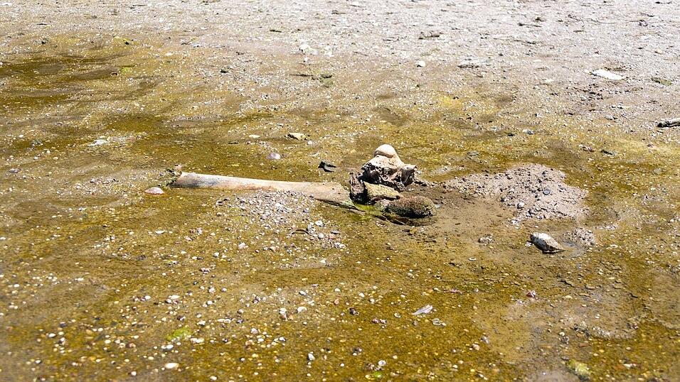 Hitze enth&uuml;llt Mammut-Unterkiefer in bulgarischem Donaudorf