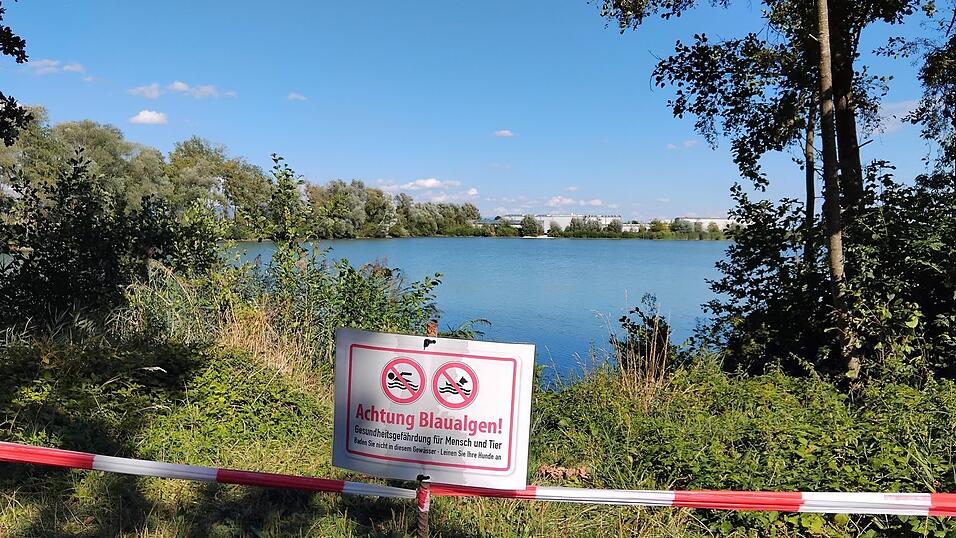 Im Attinger Weiher Nr. 7 kann wieder gebadet werden. Die Sperre wegen Blaualgenbefalls ist aufgehoben. Im Attinger Weiher Nr. 7 kann wieder gebadet werden. Die Sperre wegen Blaualgenbefalls ist aufgehoben.
