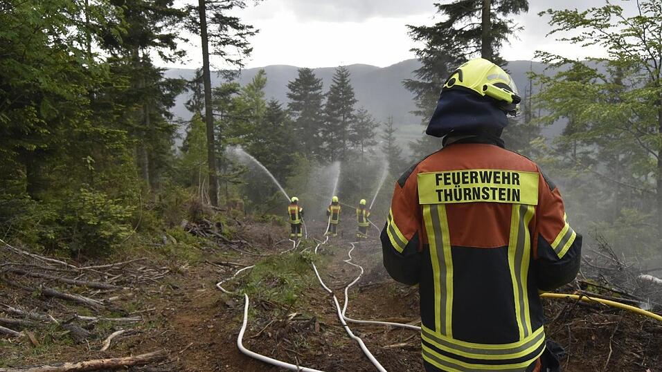 Bek&auml;mpfung des &bdquo;Waldbrands&ldquo;