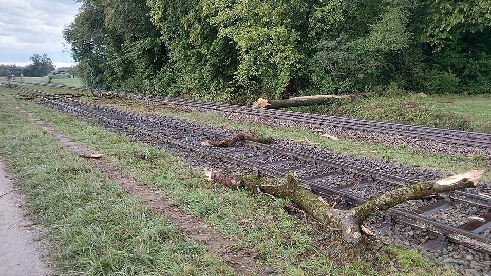 Der Zug war mit hoher Geschwindigkeit unterwegs, als er mit dem Baum zusammenstieß. Der Zug war mit hoher Geschwindigkeit unterwegs, als er mit dem Baum zusammenstieß.