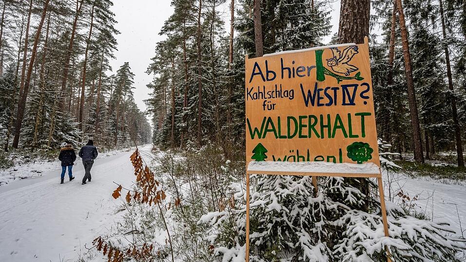 Das 72 Hektar großes Stück Staatswald soll nicht für ein Gewerbegebiet abgeholzt werden. Das 72 Hektar großes Stück Staatswald soll nicht für ein Gewerbegebiet abgeholzt werden.