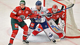 Die Straubinger Fans k&ouml;nnen sich wieder auf spannende CHL-Partien (wie hier Fr&ouml;lunda HC im November 2022) freuen.