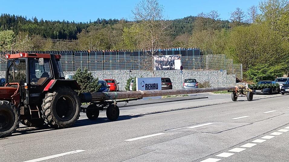 Der Maibaum wurde ausgel&ouml;st und zur&uuml;ckgebracht.