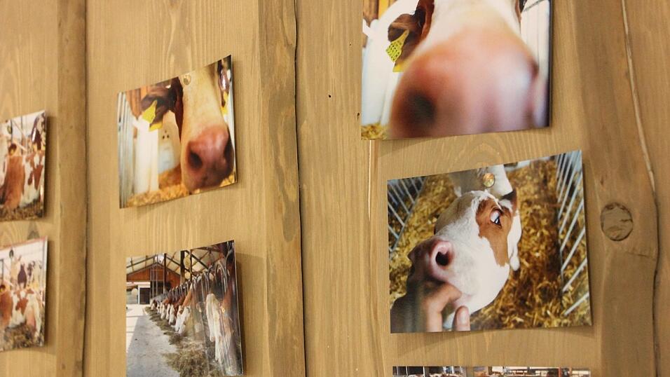An der kleinen Hütte, in der der Automat untergebracht ist, hat Lena Irrgang Bilder von ihren Kühen aufgehängt.