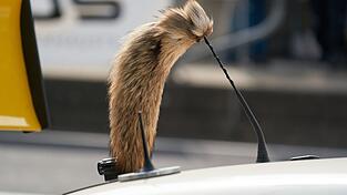 Der Fuchsschanz war f&uuml;r viele Fahrer des Opel Manta unverzichtbar.