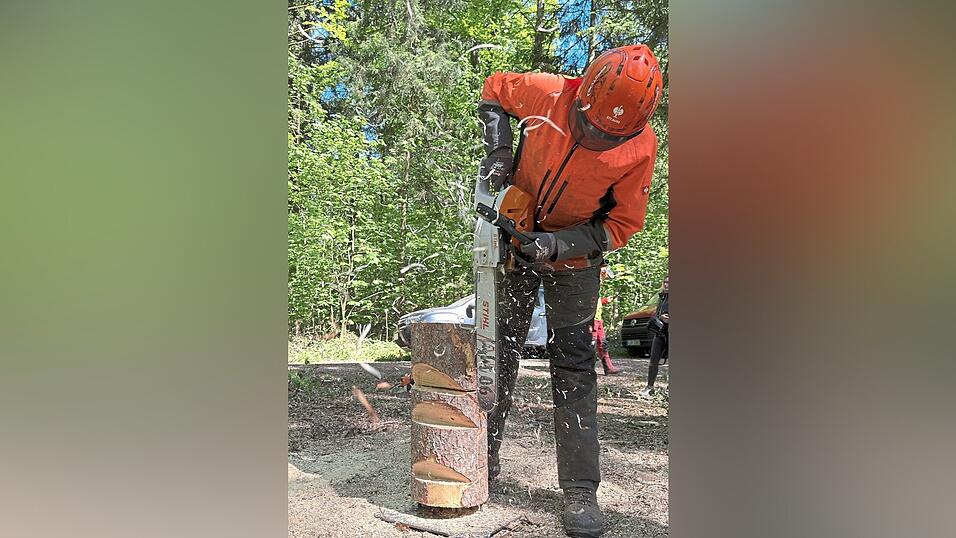 Ein Landwirt l&auml;sst seine Kettens&auml;ge aufheulen und treibt sie ins Holz.