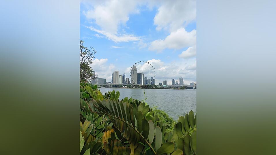 Bilder aus dem vorweihnachtlichen Singapur.