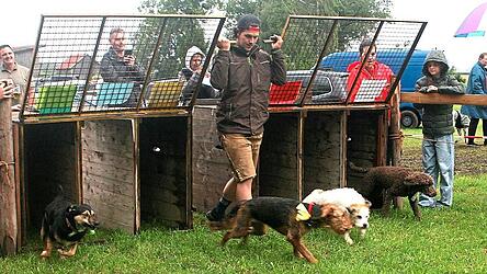 Für perfekte Starts der Hunde aus den Boxen sorgte Christian Koller.