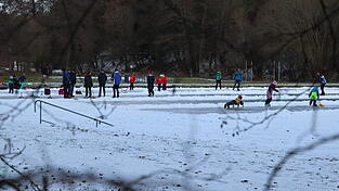 Die Badeleiter ins Waldbad verschwindet momentan im Eis. Seit Tagen ist das Wasser im Betonbecken gefroren - und zieht Eissportfreunde jeden Alters an.