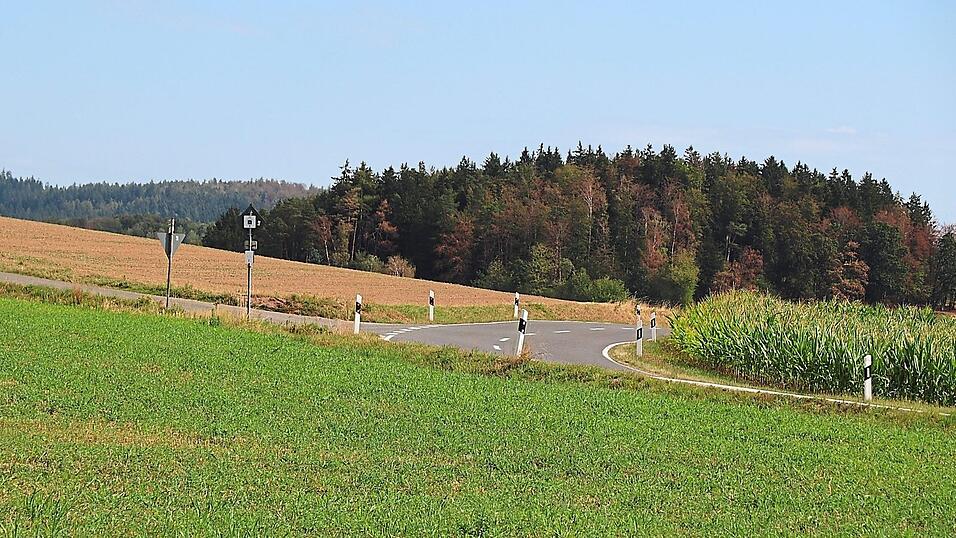 Der Daberg verf&auml;rbt sich zunehmend br&auml;unlich. Die B&auml;ume tragen mitten im Sommer Herbstfarben.