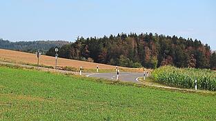 Der Daberg verfärbt sich zunehmend bräunlich. Die Bäume tragen mitten im Sommer Herbstfarben. Der Daberg verfärbt sich zunehmend bräunlich. Die Bäume tragen mitten im Sommer Herbstfarben.
