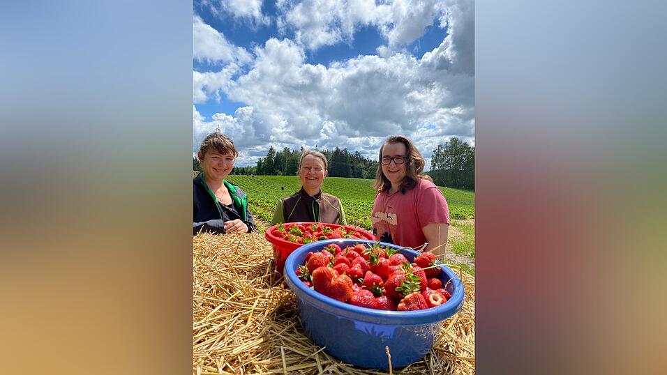 Dank der guten Ernte konnten die Kunden heuer ihre Sch&uuml;sseln schnell mit vielen reifen Erdbeeren f&uuml;llen.
