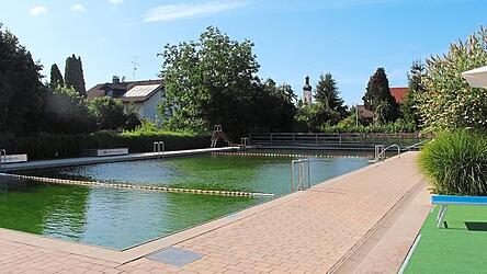 Ein Blick ins Naturbad Oberschneiding - um die 20 Rettungsschwimmer sind hier im Einsatz. Ein Blick ins Naturbad Oberschneiding - um die 20 Rettungsschwimmer sind hier im Einsatz.