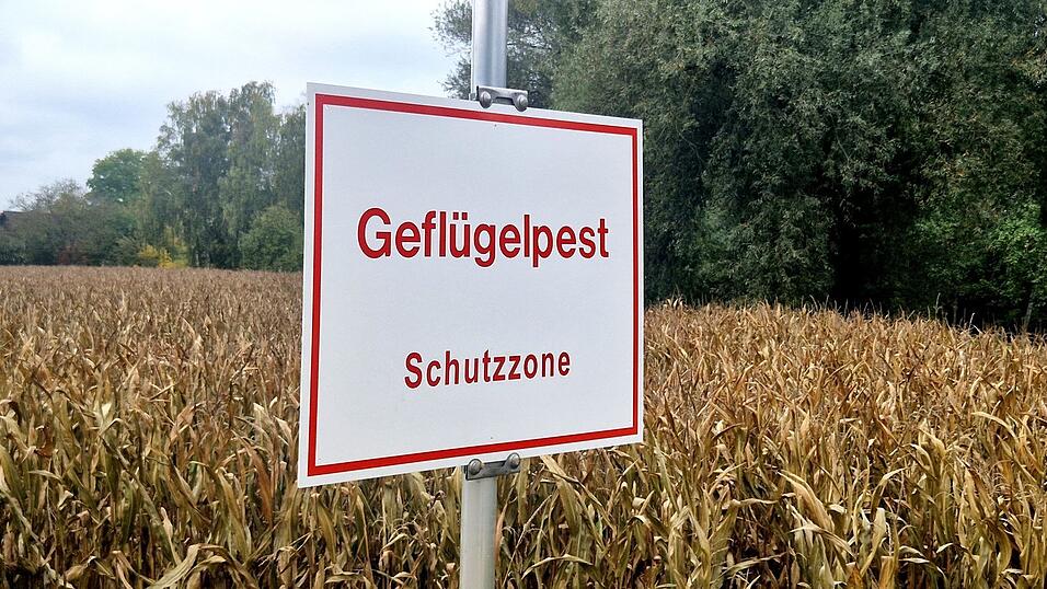 Im Landkreis Dingolfing-Landau wurde ein Fall von Vogelgrippe bekannt. Daraufhin wurde eine Schutzzone von mindestens drei Kilometern eingerichtet. Im Landkreis Dingolfing-Landau wurde ein Fall von Vogelgrippe bekannt. Daraufhin wurde eine Schutzzone von mindestens drei Kilometern eingerichtet.