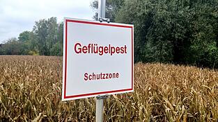 Im Landkreis Dingolfing-Landau wurde ein Fall von Vogelgrippe bekannt. Daraufhin wurde eine Schutzzone von mindestens drei Kilometern eingerichtet. 