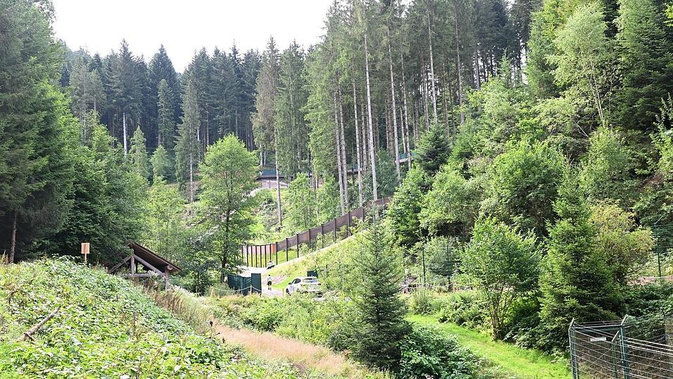 Brunos Schwester Gaia lebt nach ihrem t&ouml;dlichen Angriff auf einen Jogger im B&auml;renpark Schwarzwald. (Archivbild)