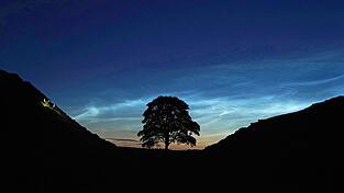 Der Sycamore Gap Tree in England war einst ein beliebtes Fotomotiv. (Archivfoto)