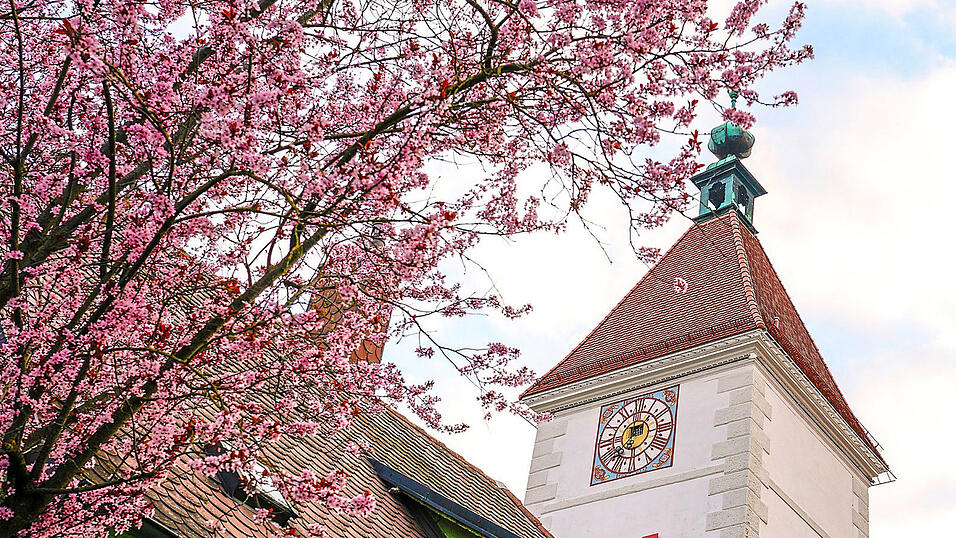 Der Frühling steht vor der Tür. Das Welser Kunst- und Kulturangebot ist bestens darauf abgestimmt. Der Frühling steht vor der Tür. Das Welser Kunst- und Kulturangebot ist bestens darauf abgestimmt.