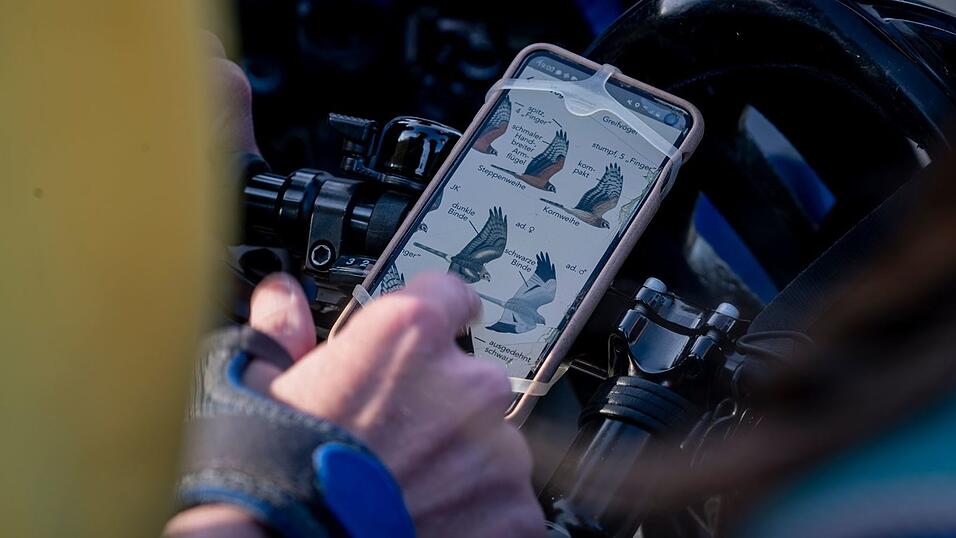 Vogel-Bestimmung via Smartphone.