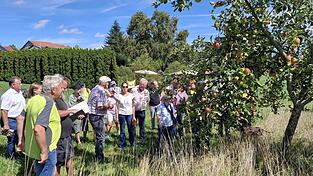 Zahlreiche Interessierte waren der Einladung zum Info-Tag auf der Magersdorfer Streuobstwiese gefolgt. Beim Rundgang &uuml;ber die Obstwiese wurden die verschiedenen Fr&uuml;chte ausf&uuml;hrlich besprochen.