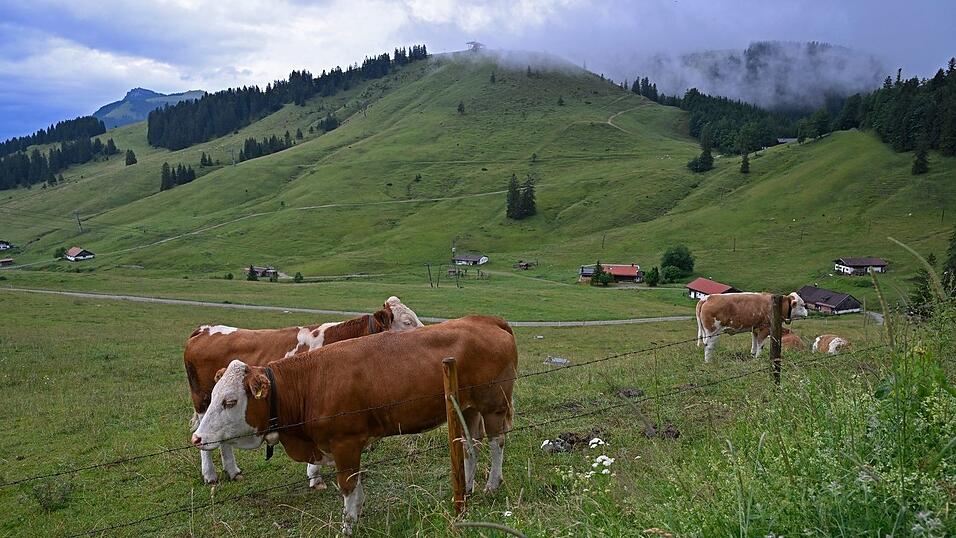 Regnerisches Wetter wird auch noch in den kommenden Tagen in Teilen Bayerns erwartet.