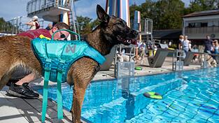 Beim Hundeschwimmtag im Stadtbad Vilsbiburg hatten nicht nur die Vierbeiner Spaß, sondern auch ihre menschlichen Begleiter. Beim Hundeschwimmtag im Stadtbad Vilsbiburg hatten nicht nur die Vierbeiner Spaß, sondern auch ihre menschlichen Begleiter.