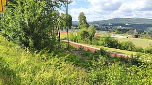 Zwischen B 85 und Schulsportgelände wurde die Vegetation zurückgeschnitten - für manche ein „Kahlschlag“ Zwischen B 85 und Schulsportgelände wurde die Vegetation zurückgeschnitten - für manche ein „Kahlschlag“
