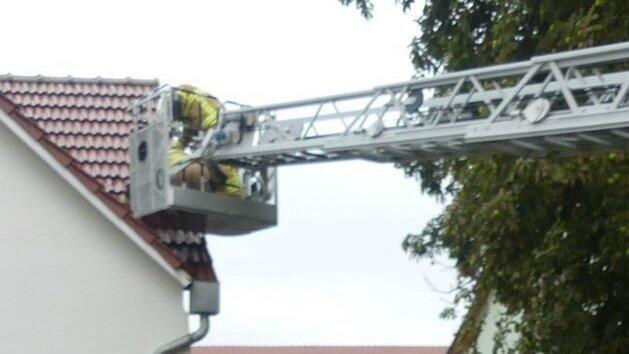 Die Feuerwehr Mintraching rückte mit der Drehleiter aus. Die Feuerwehr Mintraching rückte mit der Drehleiter aus.