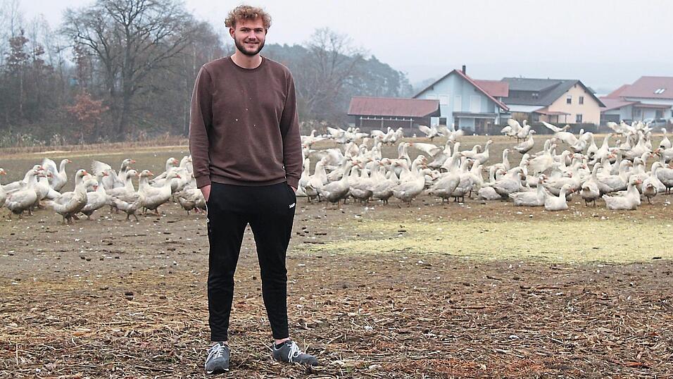 Auch wenn es sie nur von Juli bis Dezember gibt, sind die freilaufenden G&auml;nse am Gefl&uuml;gelhof Haberzeth in Mitterkreith zu dessen Markenzeichen geworden. Der 20-j&auml;hrige Max m&ouml;chte den Hof einmal in dritter Generation weiterf&uuml;hren.