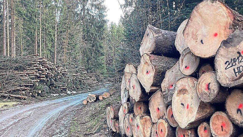 Im Fr&uuml;hjahr 2022 waren die Staatsforsten schon einmal sehr flei&szlig;ig am Buchberg.