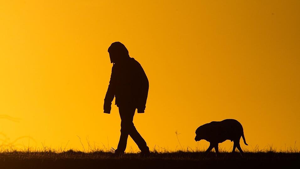 Der Hundebesitzer flüchtet nach dem Angriff unerkannt. (Symbolbild) Der Hundebesitzer flüchtet nach dem Angriff unerkannt. (Symbolbild)