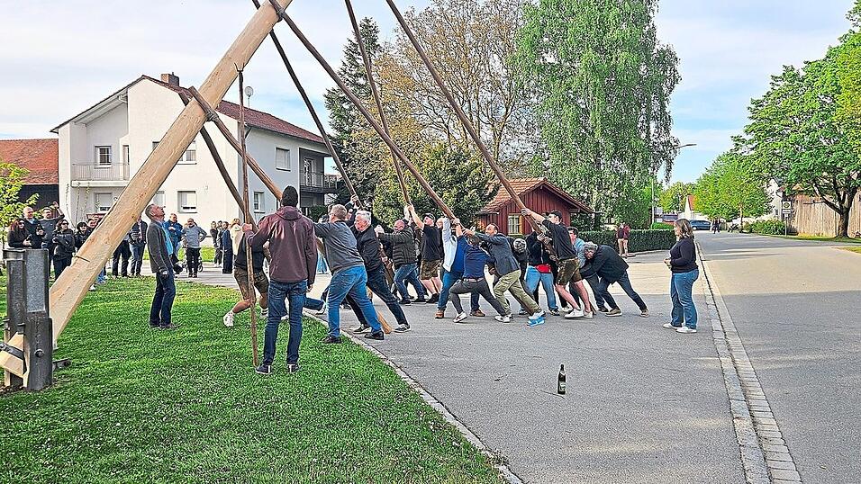 Zusammen mit den Gästen aus Montefino wurde der Maibaum in Aiterhofen schon mitten im April aufgestellt. Zusammen mit den Gästen aus Montefino wurde der Maibaum in Aiterhofen schon mitten im April aufgestellt.