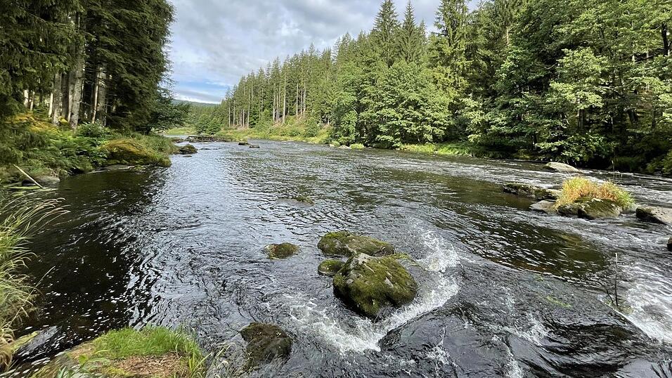 Mal reißend und schnell, mal ruhig und einfach wunderschön fließt der Schwarze Regen durch die Waldschlucht, begleitet von einem idyllischen, schattigen Pfad. Mal reißend und schnell, mal ruhig und einfach wunderschön fließt der Schwarze Regen durch die Waldschlucht, begleitet von einem idyllischen, schattigen Pfad.