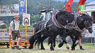 Besonders spannend wird beim Wettbewerb sicher wieder der Doppelzug der Kaltbl&uuml;ter werden.