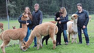 Alpakas bestimmen den Tagesrhythmus auf der Walderbacher Nassen. Rudolf und Sonja Himmelstoß sind ganz verliebt in die Tiere, Tochter Sandy und ihr Mann Markus schauen ebenfalls gerne vorbei und helfen mit.