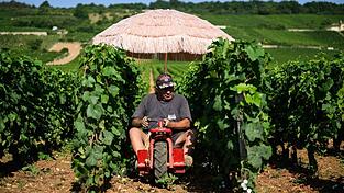 Neben Lieferdiensten und Bauarbeitern ist die Landwirtschaft besonders von Hitze betroffen. (Archivbild)