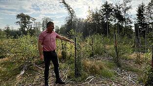 Viele Bäume wurden gepflanzt und zum Schutz eingezäunt, wie Bürgermeister Armin Soller erklärt. Dass das Totholz am Boden liegen bleiben muss, ist eine der Vorgaben der Unteren Naturschutzbehörde für die Maßnahmen zum Flächenausgleich.
