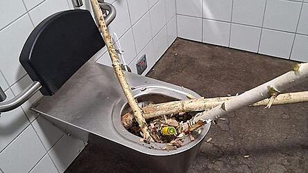 B&auml;ume, Flaschen und M&uuml;ll landeten im Klo.