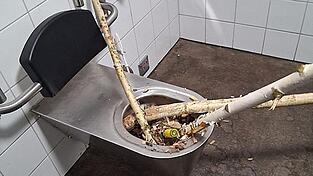 B&auml;ume, Flaschen und M&uuml;ll landeten im Klo.