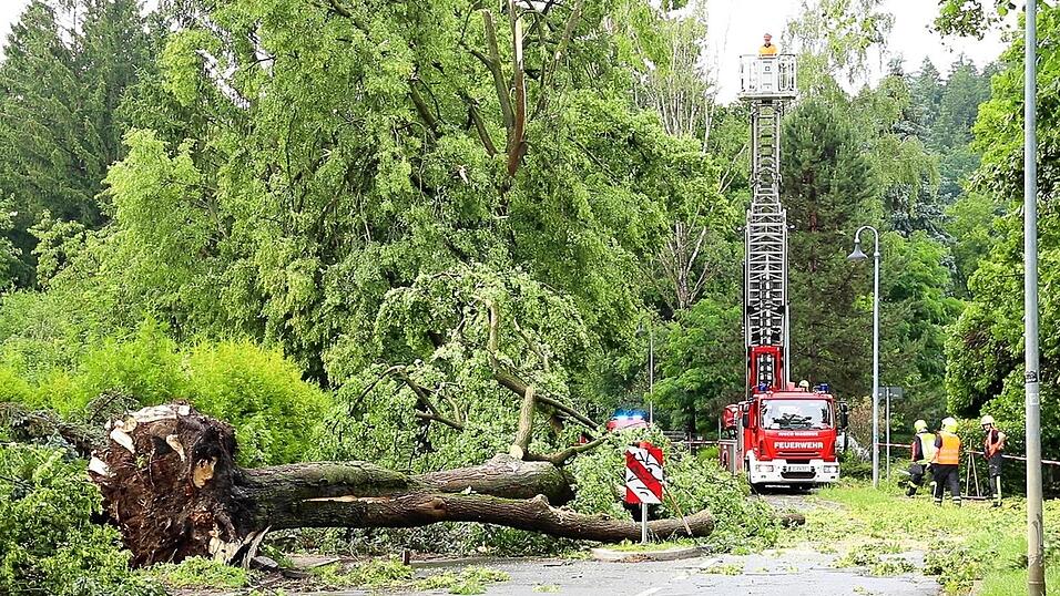 Über den Norden von Rheinland-Pfalz sind am Abend schwere Unwetter hinweggezogen, mindestens zwei Menschen wurden im Bereich der Polizeidirektion Mayen durch einen umstürzenden Baum schwer verletzt. (Symbolbild) Über den Norden von Rheinland-Pfalz sind am Abend schwere Unwetter hinweggezogen, mindestens zwei Menschen wurden im Bereich der Polizeidirektion Mayen durch einen umstürzenden Baum schwer verletzt. (Symbolbild)