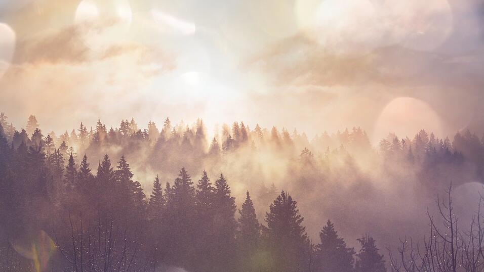 Die Kelten, ihre und ihre mystische Anderswelt sind Thema des Erzählabends von Simone Wanzek-Weber. Die Kelten, ihre und ihre mystische Anderswelt sind Thema des Erzählabends von Simone Wanzek-Weber.