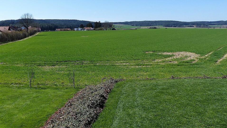 Im Schorndorfer Norden soll zwischen dem Orleitenweg und dem Gilnhof ein neues Baugebiet mit 30 Parzellen entstehen, gut die H&auml;lfte davon auf Erbpachtbasis mit der Katholischen Pfarrpfr&uuml;ndestiftung Schorndorf.