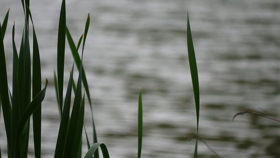 Wunderschönes Ausflugsziel in Passau: die Halser Ilzschleifen. Wunderschönes Ausflugsziel in Passau: die Halser Ilzschleifen.