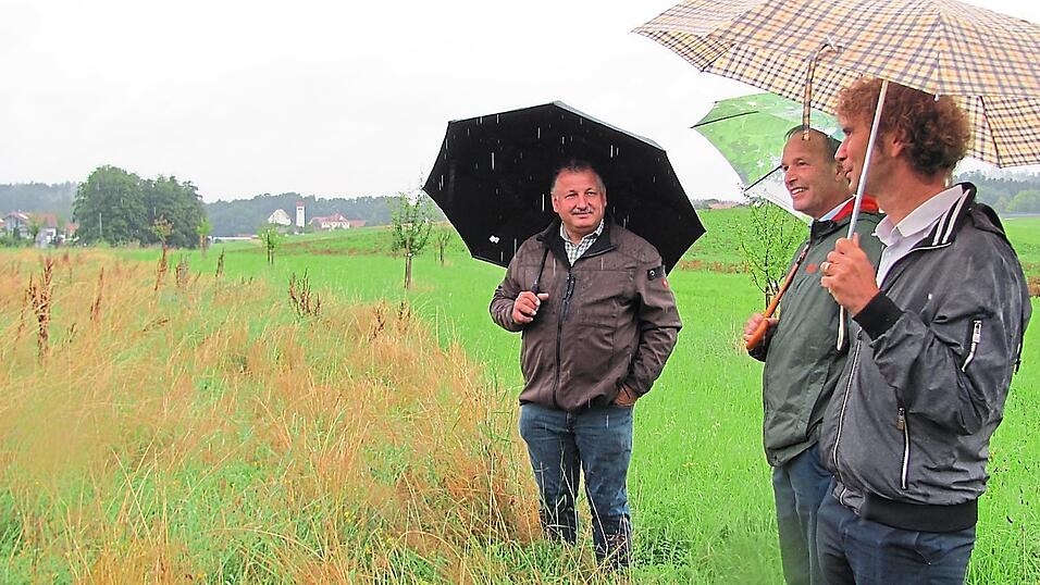 BBV-Kreisobmann Georg Sachsenhauser (v.l.) im Gespr&auml;ch mit Reinhard Menzel und Frank Trauzettel vom Amt f&uuml;r Ern&auml;hrung, Landwirtschaft und Forsten.