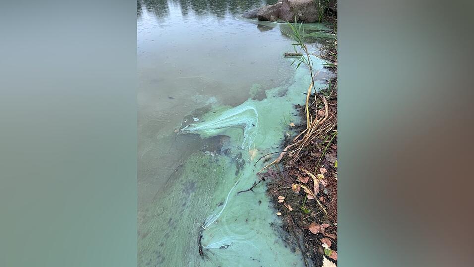 Das Chamer Gesundheitsamt warnte vor Blaualgen im Satzdorfer See.